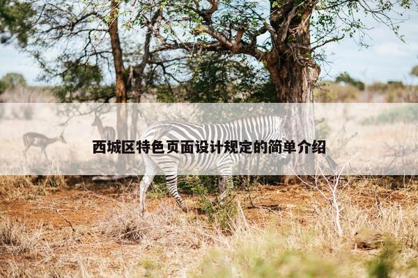 西城区特色页面设计规定的简单介绍