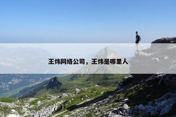 王炜网络公司，王炜是哪里人