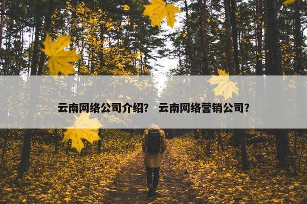 云南网络公司介绍？ 云南网络营销公司？