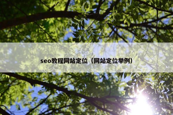 seo教程网站定位（网站定位举例）