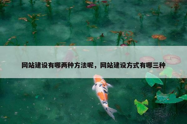 网站建设有哪两种方法呢，网站建设方式有哪三种