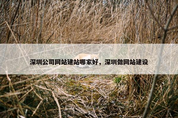 深圳公司网站建站哪家好，深圳做网站建设