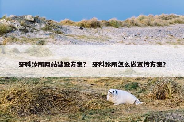 牙科诊所网站建设方案？ 牙科诊所怎么做宣传方案？