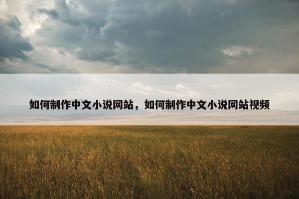 如何制作中文小说网站，如何制作中文小说网站视频