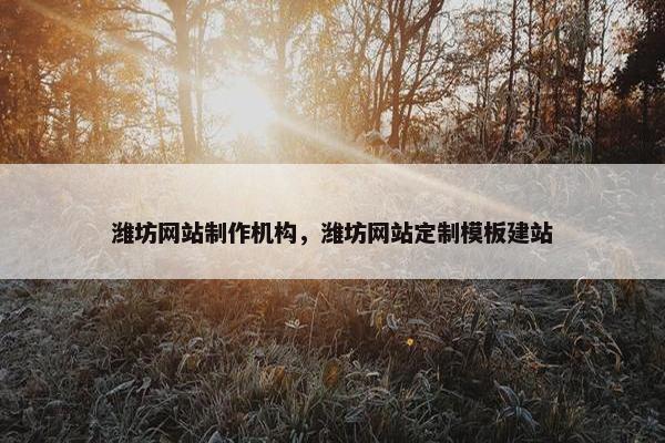 潍坊网站制作机构，潍坊网站定制模板建站