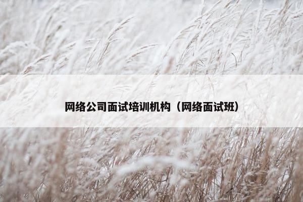 网络公司面试培训机构（网络面试班）
