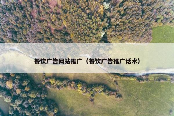 餐饮广告网站推广（餐饮广告推广话术）