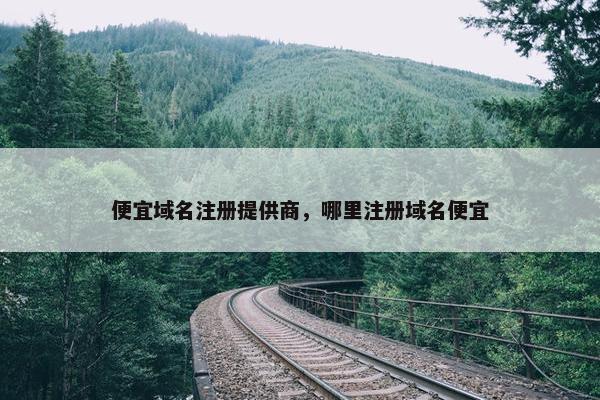 便宜域名注册提供商，哪里注册域名便宜