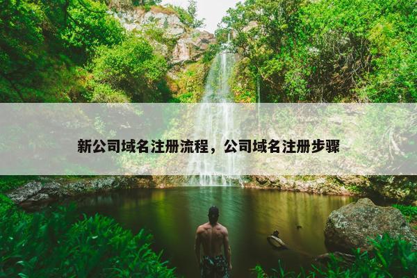 新公司域名注册流程，公司域名注册步骤