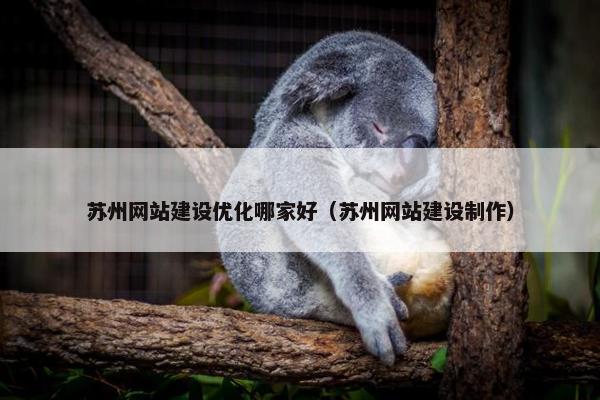 苏州网站建设优化哪家好（苏州网站建设制作）