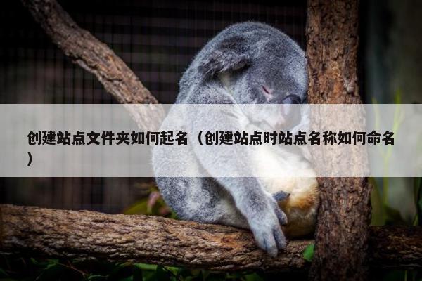 创建站点文件夹如何起名（创建站点时站点名称如何命名）