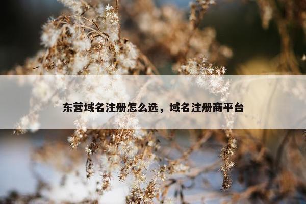 东营域名注册怎么选，域名注册商平台