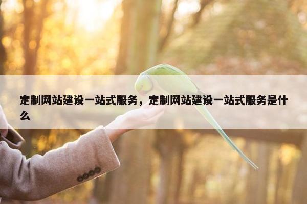 定制网站建设一站式服务，定制网站建设一站式服务是什么
