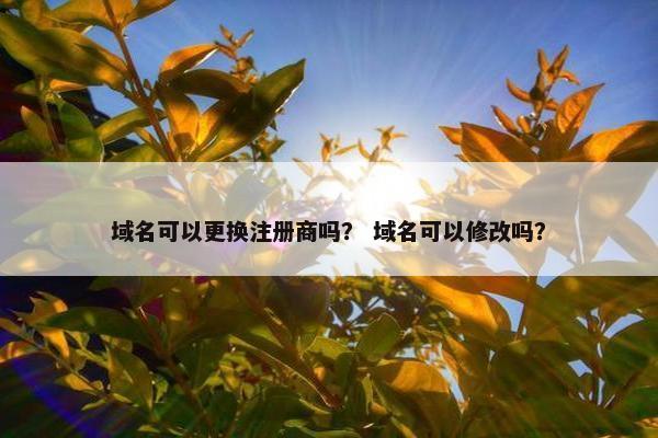 域名可以更换注册商吗？ 域名可以修改吗？