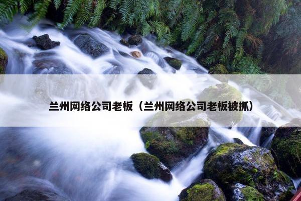 兰州网络公司老板（兰州网络公司老板被抓）
