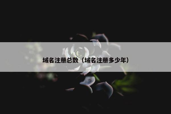 域名注册总数（域名注册多少年）