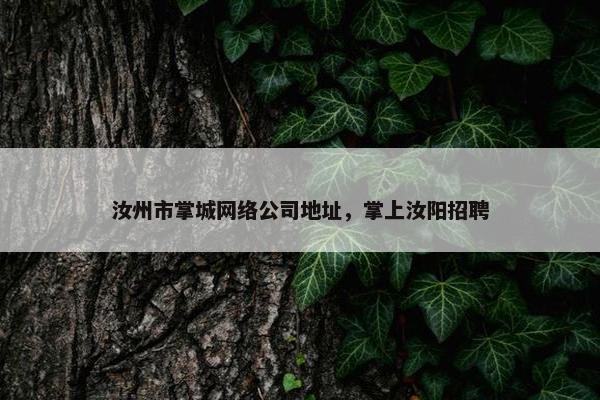 汝州市掌城网络公司地址，掌上汝阳招聘