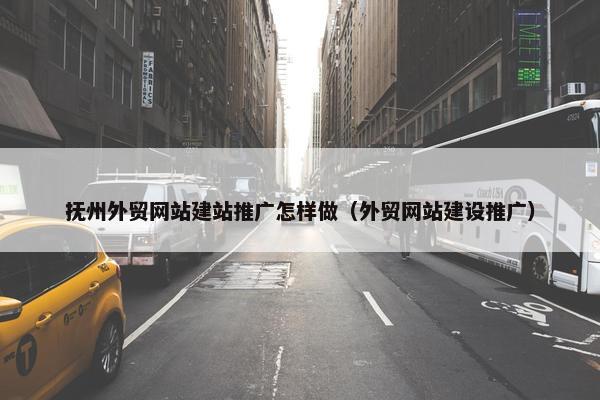 抚州外贸网站建站推广怎样做（外贸网站建设推广）