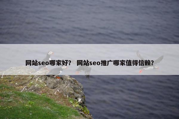 网站seo哪家好？ 网站seo推广哪家值得信赖？