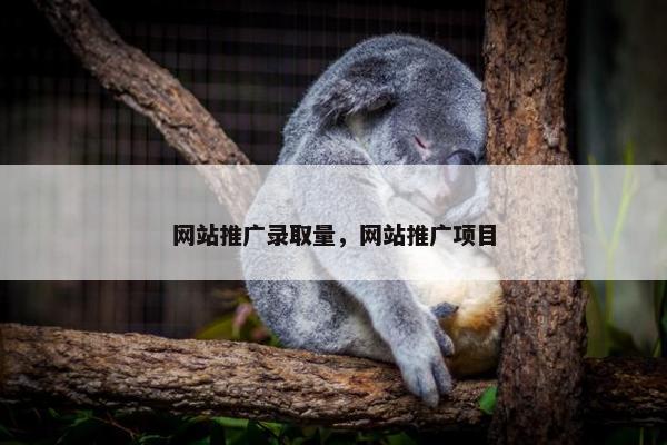 网站推广录取量，网站推广项目