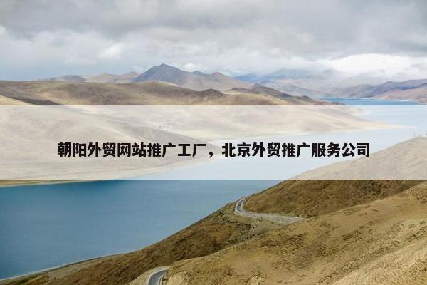 朝阳外贸网站推广工厂，北京外贸推广服务公司