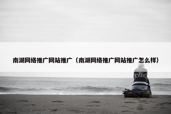 南湖网络推广网站推广（南湖网络推广网站推广怎么样）