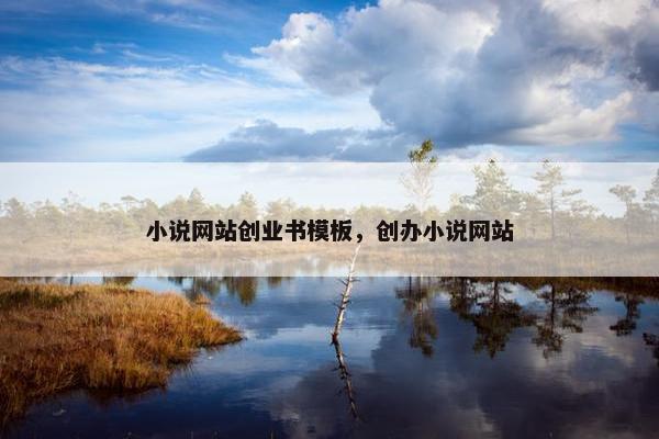 小说网站创业书模板，创办小说网站