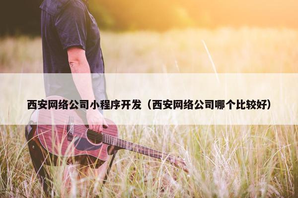 西安网络公司小程序开发（西安网络公司哪个比较好）