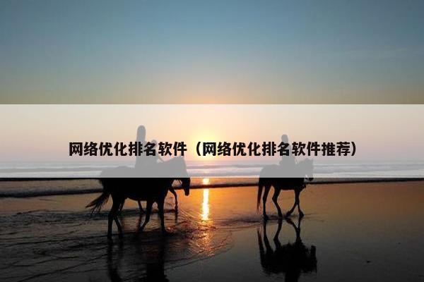 网络优化排名软件（网络优化排名软件推荐）