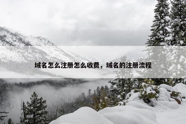 域名怎么注册怎么收费，域名的注册流程
