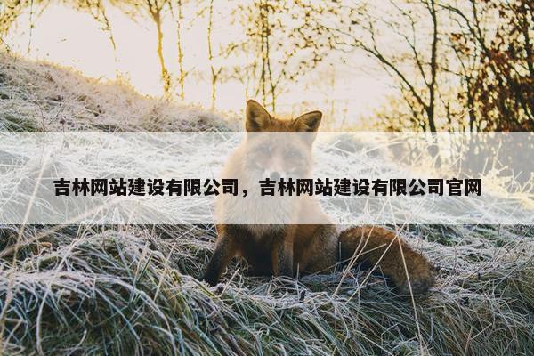 吉林网站建设有限公司，吉林网站建设有限公司官网