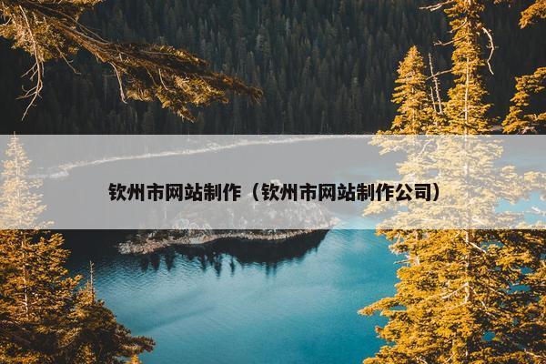 钦州市网站制作（钦州市网站制作公司）