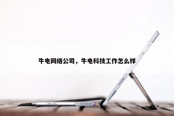 牛电网络公司，牛电科技工作怎么样