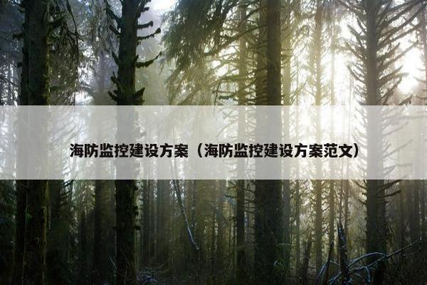 海防监控建设方案（海防监控建设方案范文）