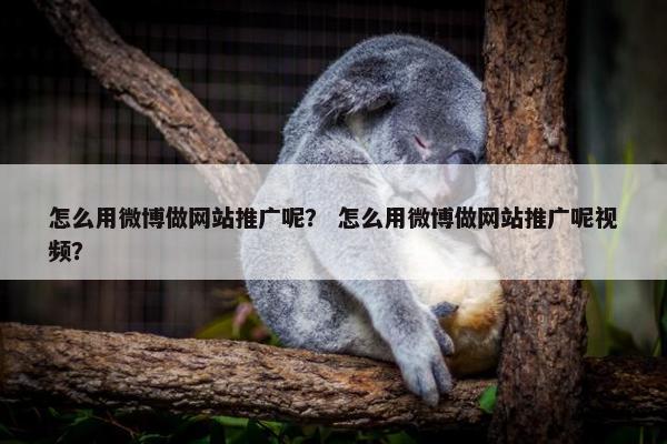 怎么用微博做网站推广呢？ 怎么用微博做网站推广呢视频？