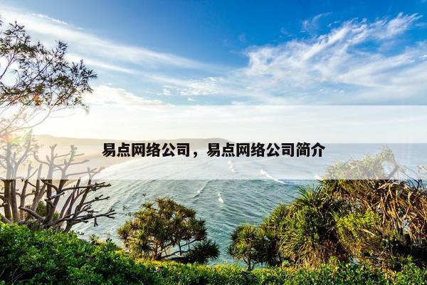 易点网络公司，易点网络公司简介