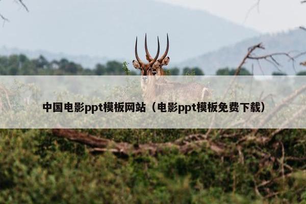 中国电影ppt模板网站（电影ppt模板免费下载）