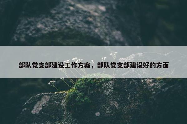 部队党支部建设工作方案，部队党支部建设好的方面