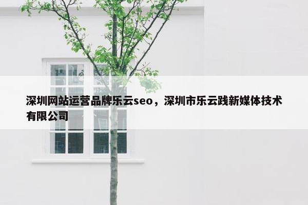 深圳网站运营品牌乐云seo，深圳市乐云践新媒体技术有限公司