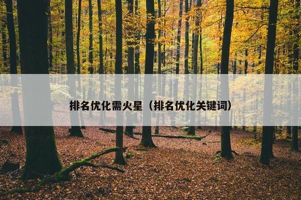 排名优化需火星（排名优化关键词）