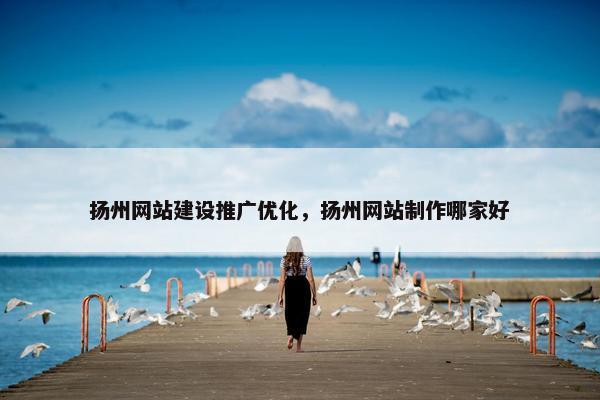 扬州网站建设推广优化，扬州网站制作哪家好