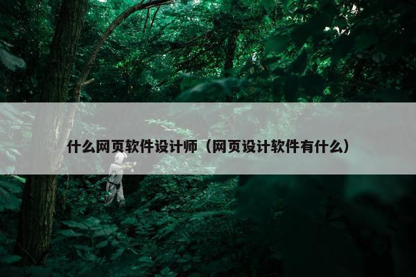 什么网页软件设计师（网页设计软件有什么）