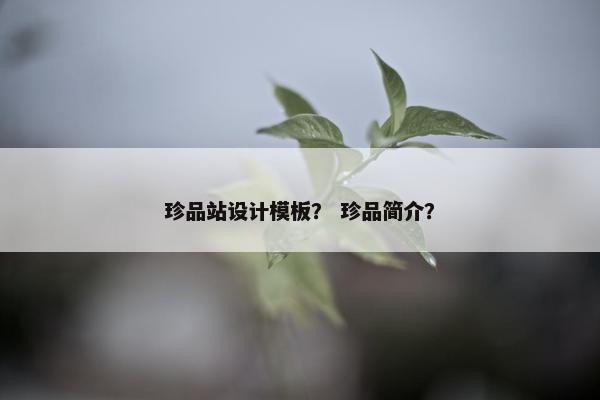 珍品站设计模板？ 珍品简介？