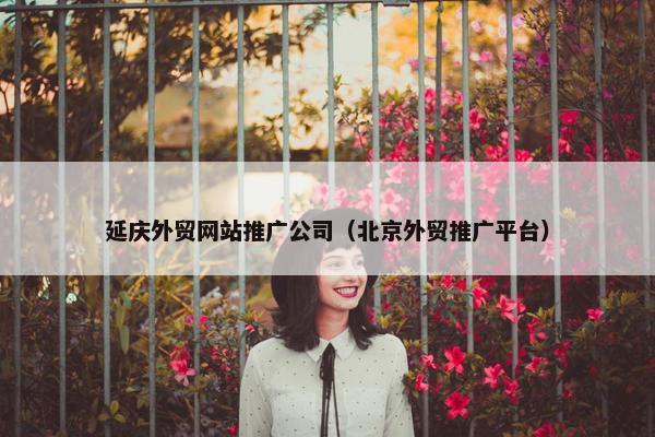 延庆外贸网站推广公司（北京外贸推广平台）