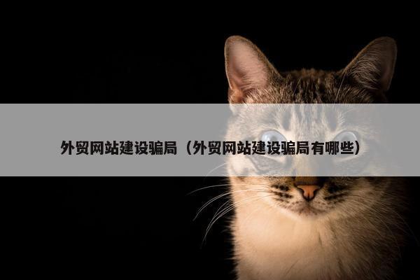 外贸网站建设骗局（外贸网站建设骗局有哪些）