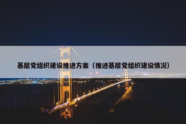基层党组织建设推进方案（推进基层党组织建设情况）