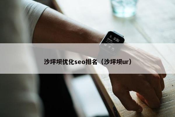 沙坪坝优化seo排名（沙坪坝ur）