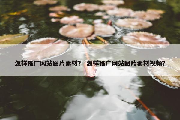 怎样推广网站图片素材？ 怎样推广网站图片素材视频？