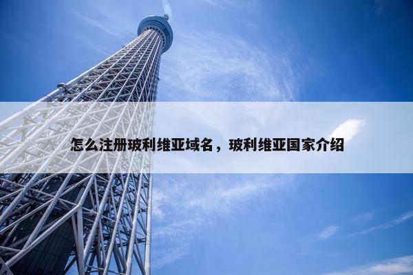 怎么注册玻利维亚域名，玻利维亚国家介绍