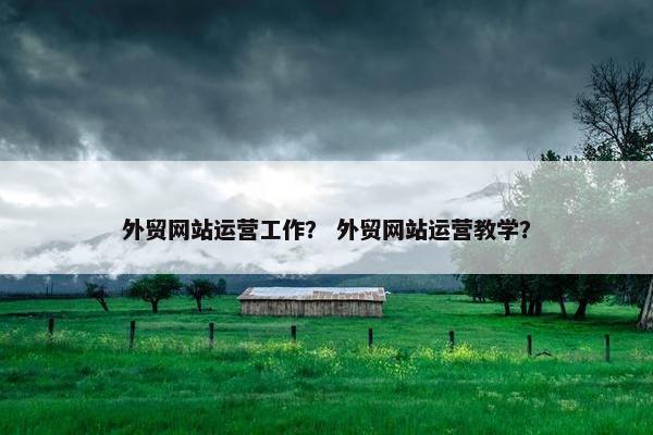外贸网站运营工作？ 外贸网站运营教学？